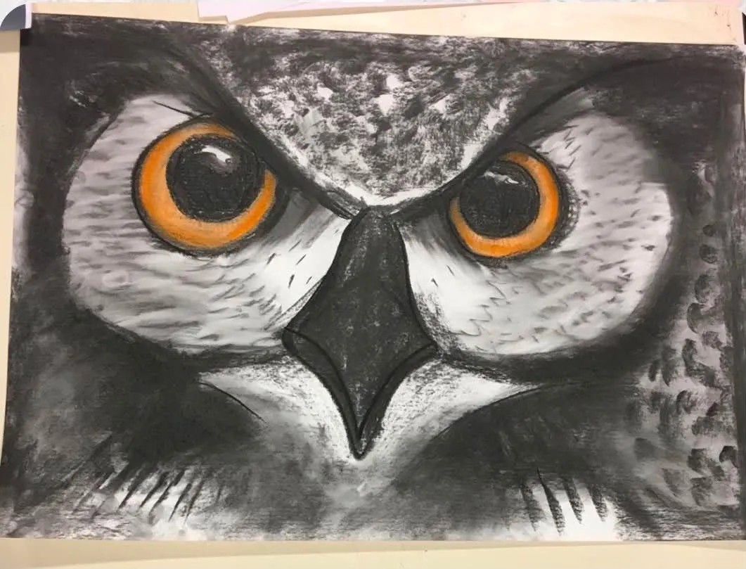 Charcoal Drawing Class: Owl